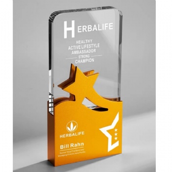 ADL Crystal Glass Star Trophy Awards Engraved Crystal Trophy Crafts for Sport Trophy Award Carved Logo
