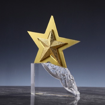 ADL Climbing to the Peak Crystal Glass Trophy Awards Star Metal Trophy Award for Sport Events First Award