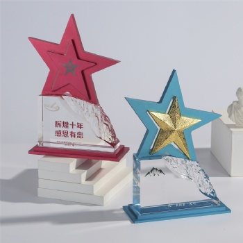 ADL Climbing to the Peak Crystal Glass Trophy Awards Star Metal Trophy Award for First Award Business Gifts