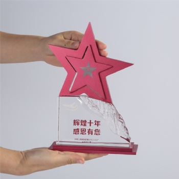 ADL Climbing to the Peak Crystal Glass Trophy Awards Star Metal Trophy Award for First Award Business Gifts