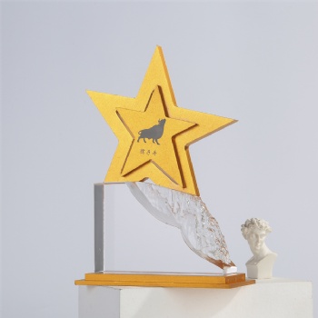 ADL Climbing to the Peak Crystal Glass Trophy Awards Star Metal Trophy Award for First Award Business Gifts