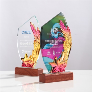 New Design Crystal Glass Star Trophy Awards with Wooden Base Customized Laser Logo Color Painted Background Business Gifts