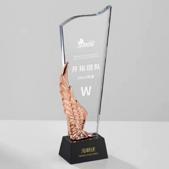 ADL Glass Awards Crystal Trophy Award with Customized Laser Printed Words and Logo Metal Plaques for Business Crafts Gifts