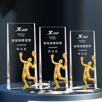 Custom Engraved Creative Design Metal Awards Irregular Shape Sports Crystal Glass Metal Trophy