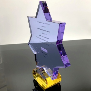 ADL 2024 New Design High-Quality Crystal Glass Trophy Awards Star Mascot Crystal Trophy Engraving Crystal Awards