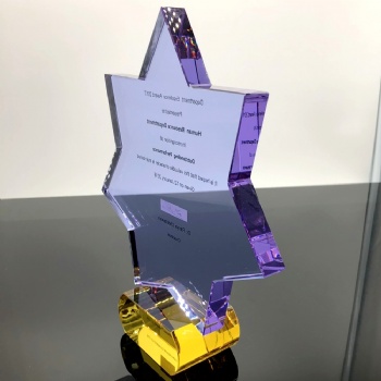 ADL 2024 New Design High-Quality Crystal Glass Trophy Awards Star Mascot Crystal Trophy Engraving Crystal Awards