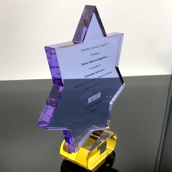 ADL 2024 New Design High-Quality Crystal Glass Trophy Awards Star Mascot Crystal Trophy Engraving Crystal Awards