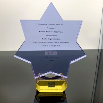 ADL 2024 New Design High-Quality Crystal Glass Trophy Awards Star Mascot Crystal Trophy Engraving Crystal Awards