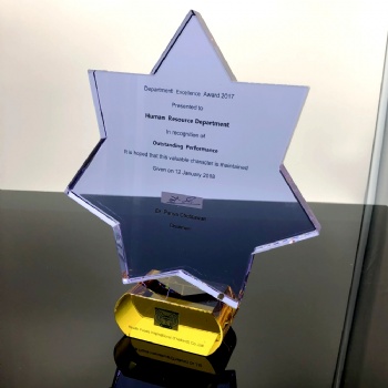 ADL 2024 New Design High-Quality Crystal Glass Trophy Awards Star Mascot Crystal Trophy Engraving Crystal Awards