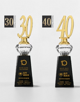ADL Crystal Glass Metal Trophy Awards 15 Years Service Awards Blank Company Annual Celebration Crystal Trophy