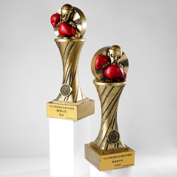 ADL New Design Boxing Resin Wholesales Trophy Awards Plaques for Sports Business Souvenir Gifts from Crystal Trophy from China