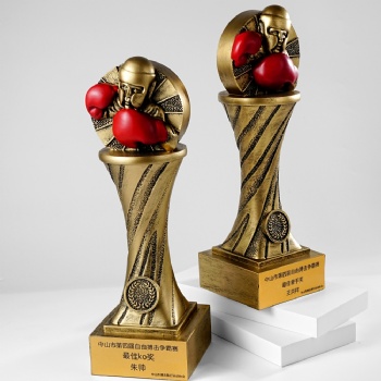 ADL New Design Boxing Resin Wholesales Trophy Awards Plaques for Sports Business Souvenir Gifts from Crystal Trophy from China