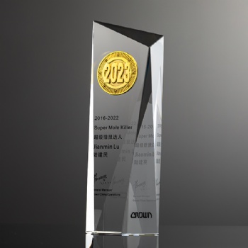 Glass Crystal Award Trophy Custom Logo Black Clear Engraved Plaque Business Souvenir Gift Box Packaging Set Wholesale