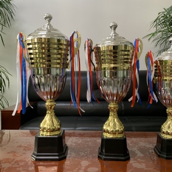 ADL Big Cup Champion Wooden Plastic Metal Crystal Glass Trophy Awards for Business Gifts Glass Crafts Souvenir Crafts